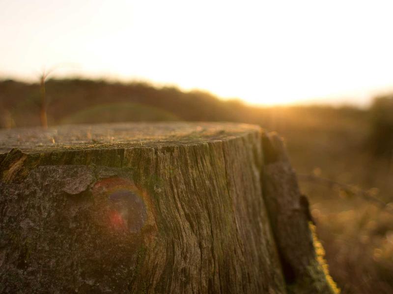 sudoku addictive game